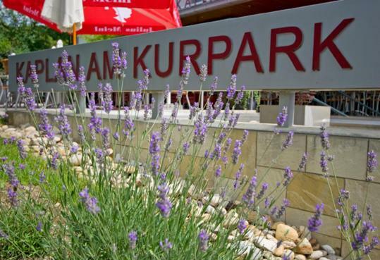 Kaplan am Kurpark Hotel Bad Tatzmannsdorf Bagian luar foto